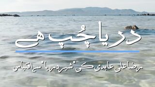Indus River by Raza Ali Abidi.