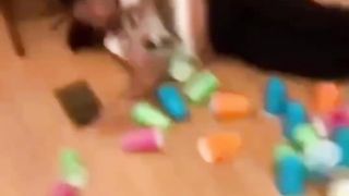 Laugh your heart out