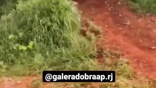 Explode with laughter