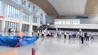 Animal amazing moment