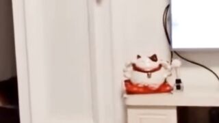 Funny Animals ???? Funny Dog & Videos