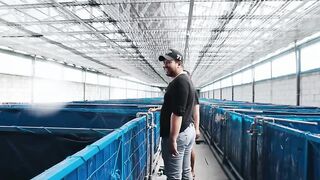 Rahasia Sukses Panen Budidaya Lele Dengan Aerator