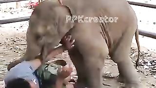 Baby_Elephant_Love_#PPKcreator_#CuteElephant_#BabyElephant_#FunnyElephant_#ElephantBaby_#Animal(360p).