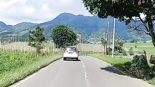 view of mountains and rice fields