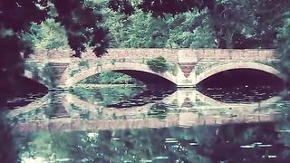 _Heart_Touching_Status____Hollywood_Whatsapp_Status