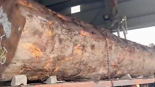 Hatim tai se bra shakhi insan ka waq, amazing wood cutting work video, amazing life hacks