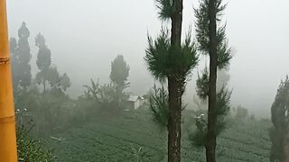 SUASANA PAGI DI LERENG BROMO