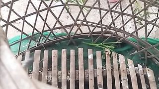 Animal lovers 11