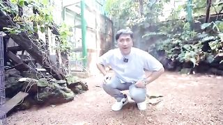 ini burung pembasmi Nyamuk,Aviary theHakim