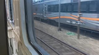 NAIK KERETA DHOHO