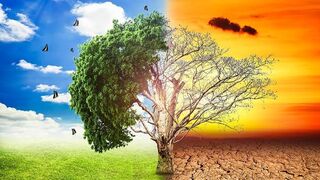 Global Warming
