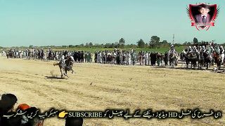 #hoers#riding in#jhamra#darbarkala#shah 5