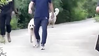Chairman Imran Khan at Bani Gala