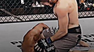 Khabib nurmagomedov The undefeated UFC champ
