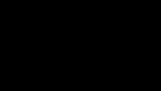 KAJIAN ISLAMI |FUNNY CATS VIDEOS