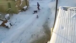 Animals saving life videos