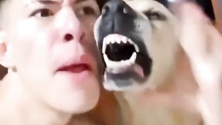 funny dog learn song beautiful voice