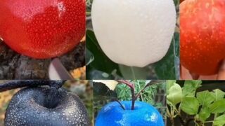 Apple different colours you should know about -white Apple,blue Apple,red Apple
