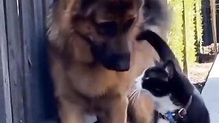 #funny