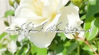 Ak bar sun lo plz