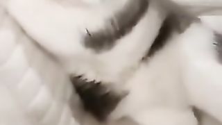 Interesting cat sitting on a chair.