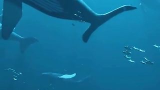 In the depths of ocean