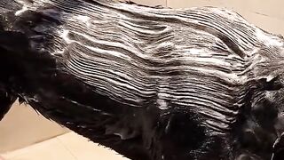 Bathing like this, obedient dog