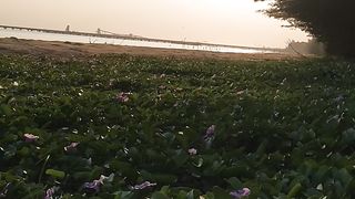 View ocean 2