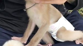 Monkey 19