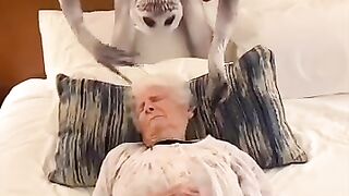 Amazing and terrifying creature comes after slweping