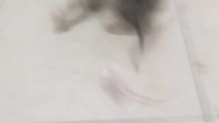 Animal lovers 18