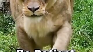 Better Days are Coming |Motivational Quote|Motivational Quote In English