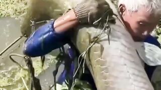 Amazing fish 3