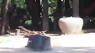 Best prank with dog