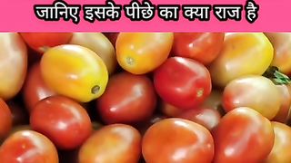 टमाटर बेचकर किसान ने कमाए करोडों रुपए केवल 1 महीने में