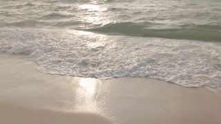 Cinematic Portrait Video