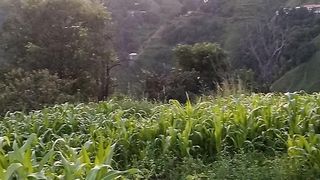 Village beauty