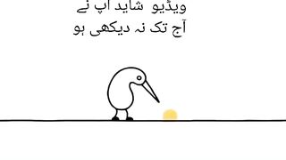 نشہ سے انکار زندگی سے پیار