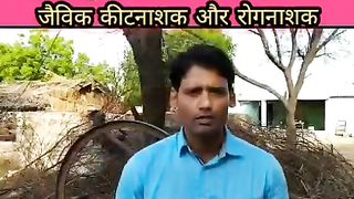 छाछ/मठ्ठा/ butter milk से किसान घर पर बनाए जैविक कीटनाशक!