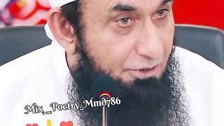molna tariq jameel
