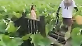 Best_Funny_Videos_-_Try_to