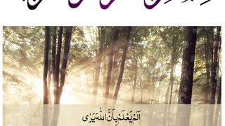 Quran , Al Quran Surah 96 Ayat 14 #viral #shorts #quran #youtubeshorts