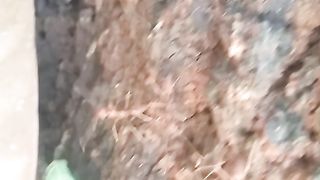 Animal lovers 22