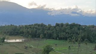 nature/ view from hill