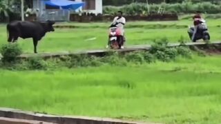 run run !