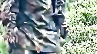Indonesia army