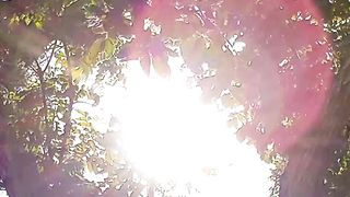 The sun 2