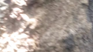 Animal lovers 25