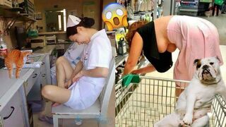 Funny Animals Videos 2023 :v Try Not To Laugh :v Part 14