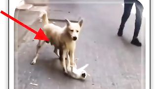 Sabaq Amooz Veduo Bacho Samjh Jao